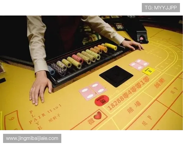 掌握百家乐伴侣的操作技巧让你在赌场中轻松应对各种局势提升胜算